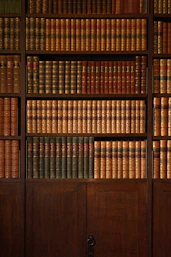 brown wooden book shelf with books