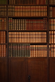 brown wooden book shelf with books