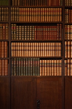 brown wooden book shelf with books