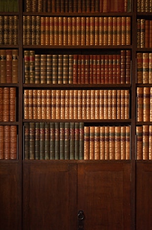 brown wooden book shelf with books