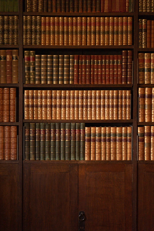 brown wooden book shelf with books