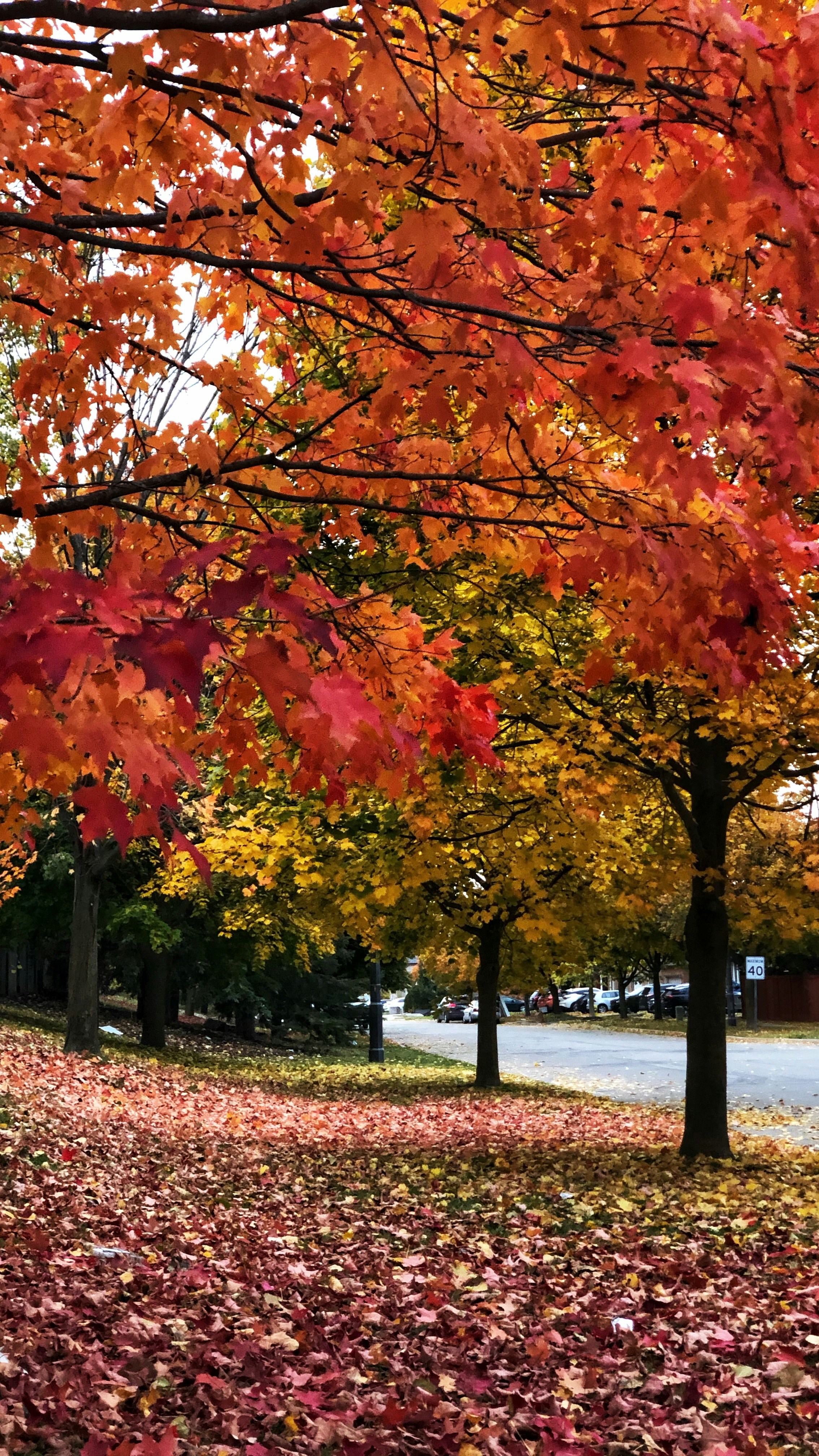 Photo by sangam_sharma