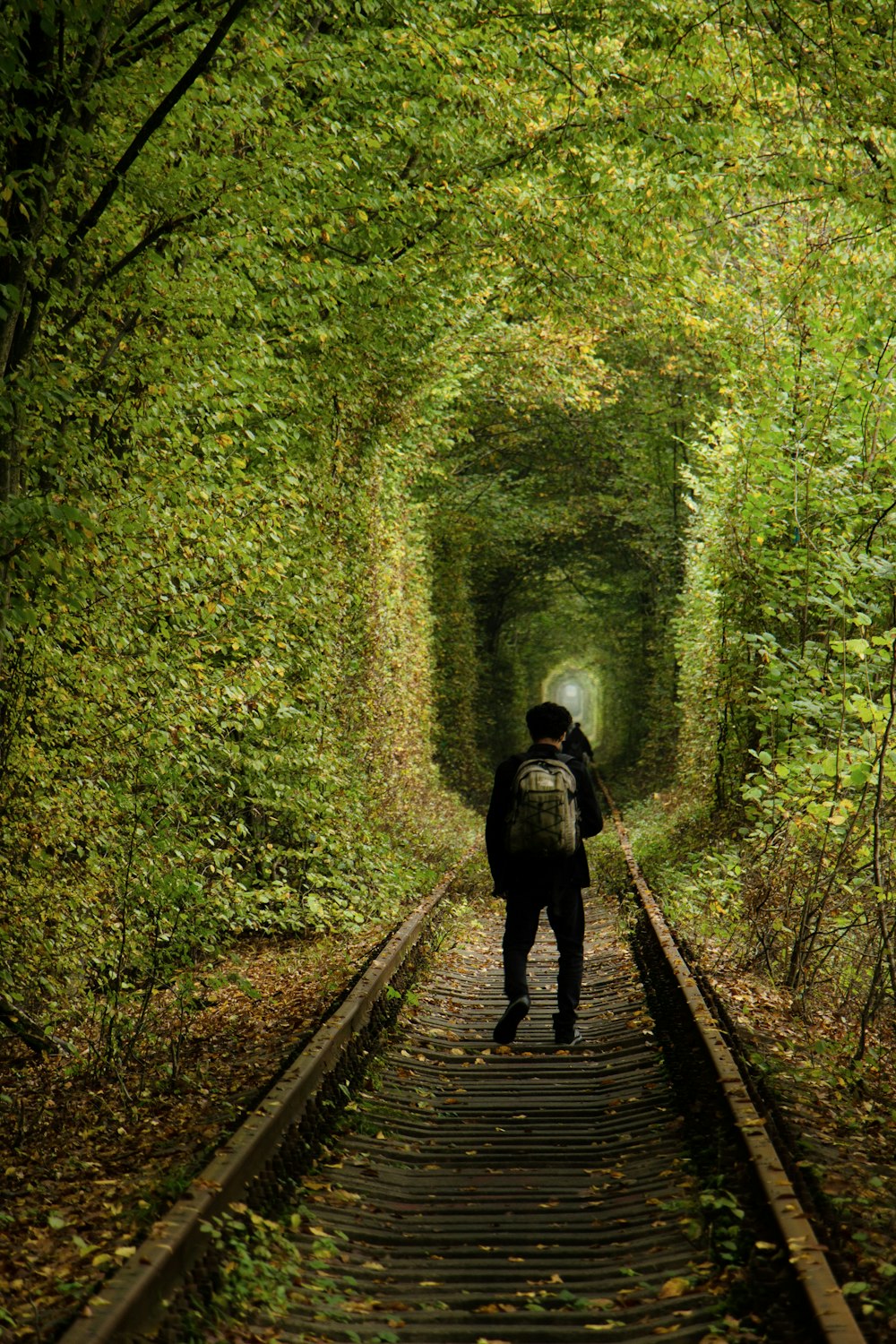 person in black jacket walking on train rail in the forest during daytime