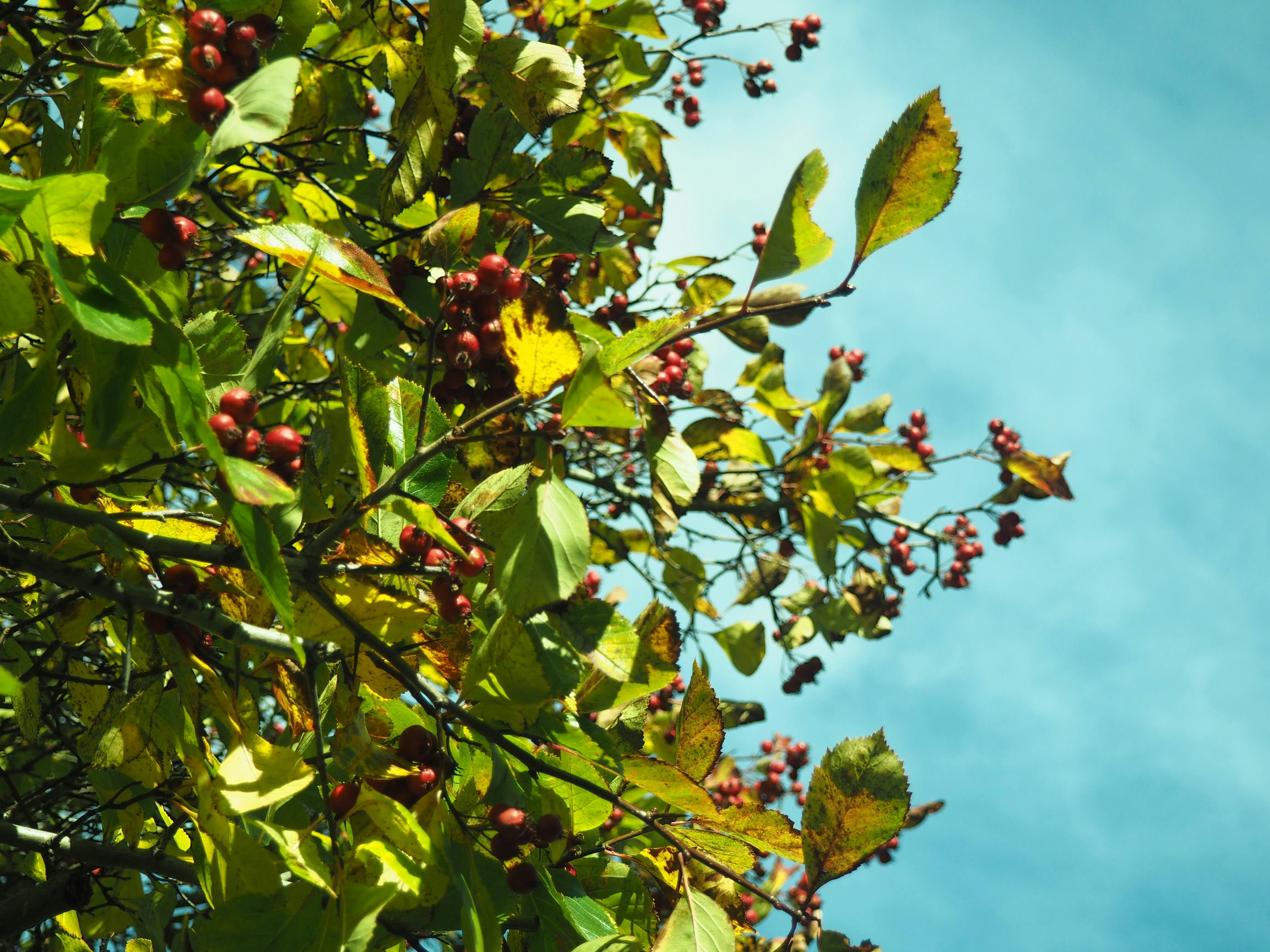 Photo by curryyyyyyyyy