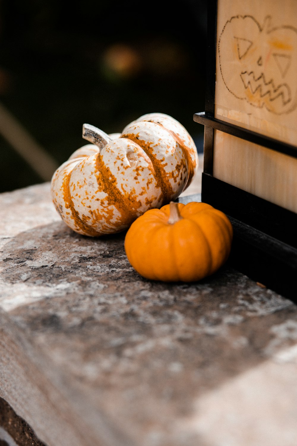 orange pumpkin on gray concrete