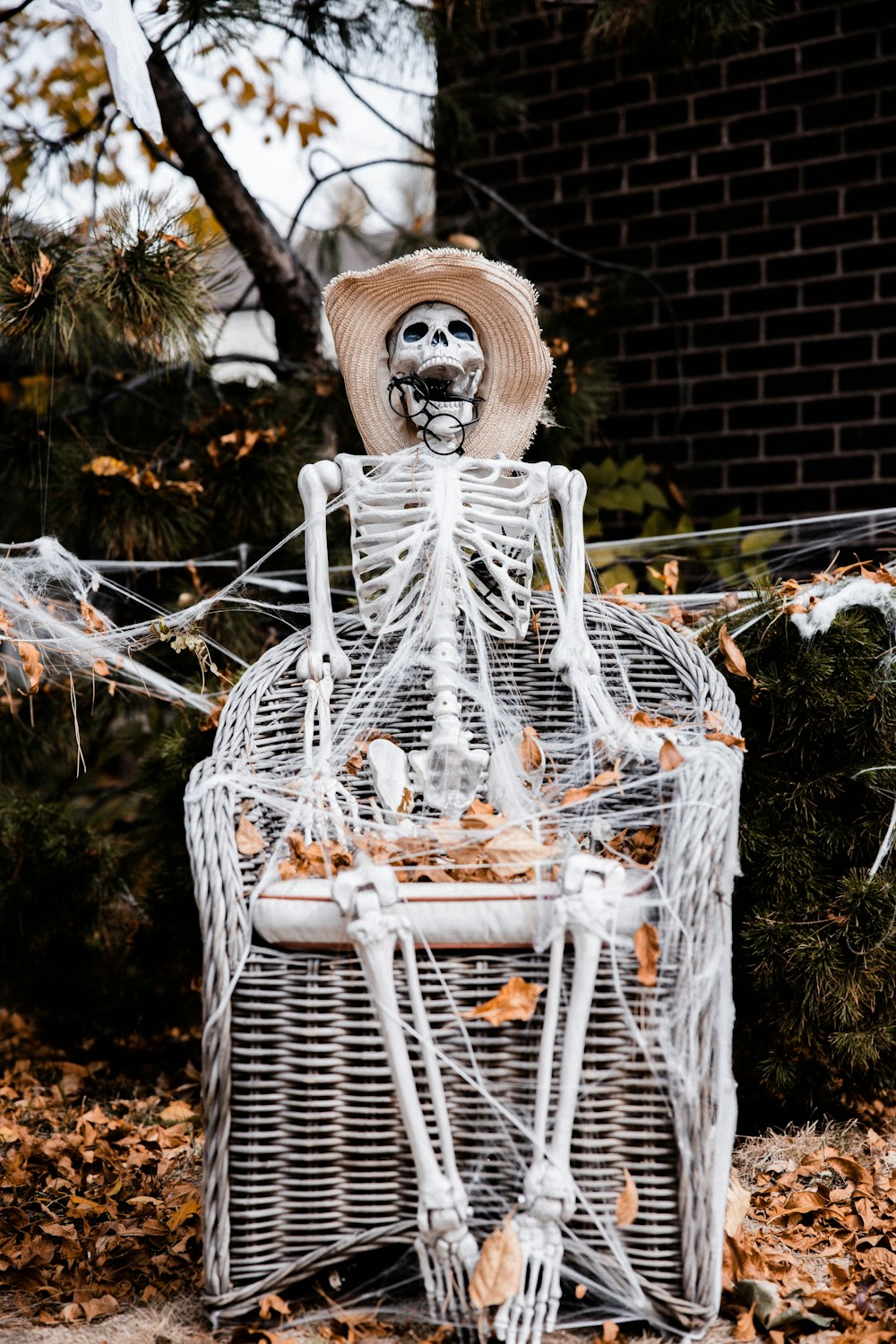 white and brown lion on white wicker basket