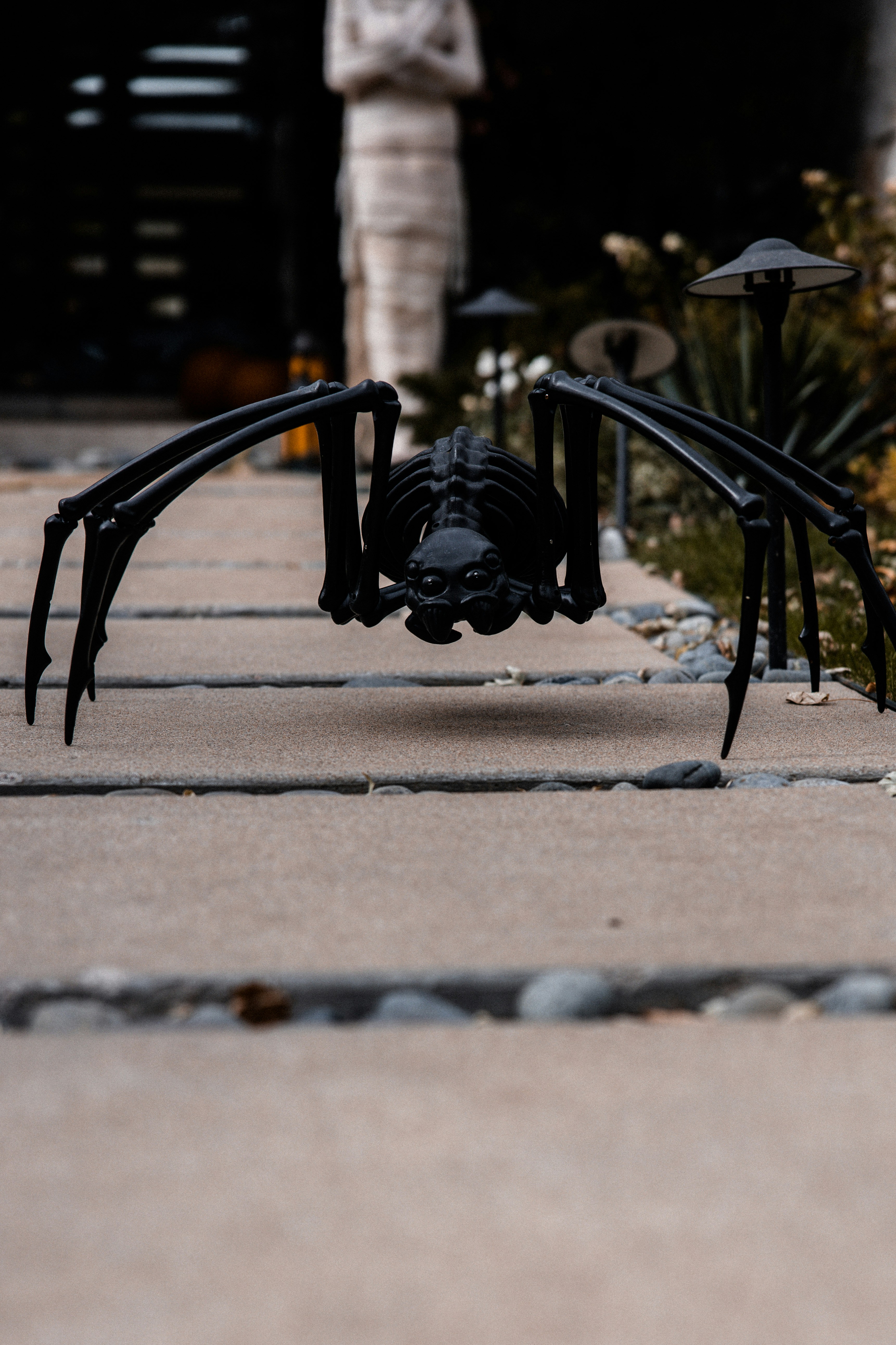 PORTRAITS INSTAGRAM - @LGNWVRPRTRTS 
EDITORIAL INSTAGRAM - @LGNWVRPHTO 
PERSONAL INSTAGRAM - @LGNWVR