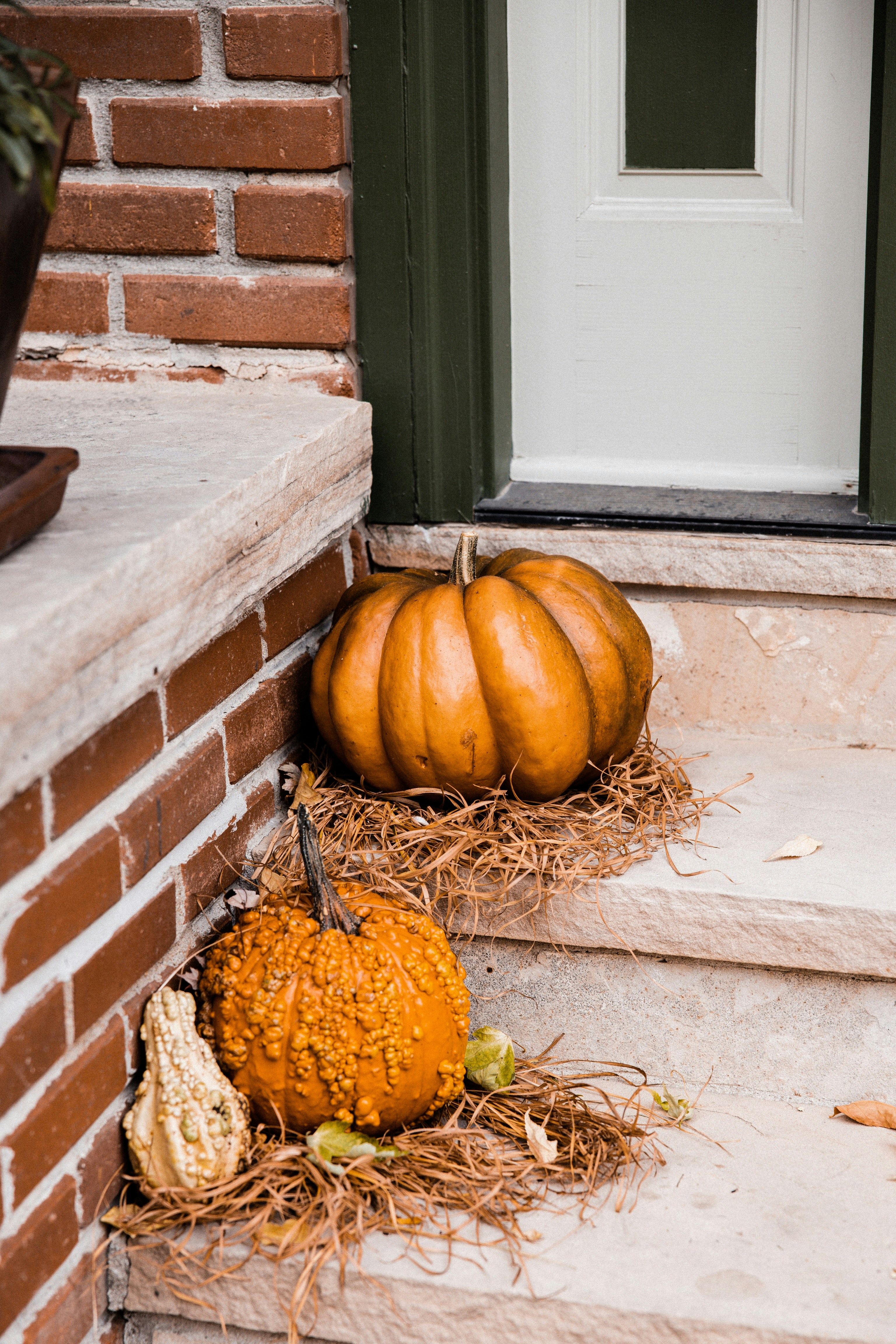 orange-pumpkin-on-brown-dried-leaves