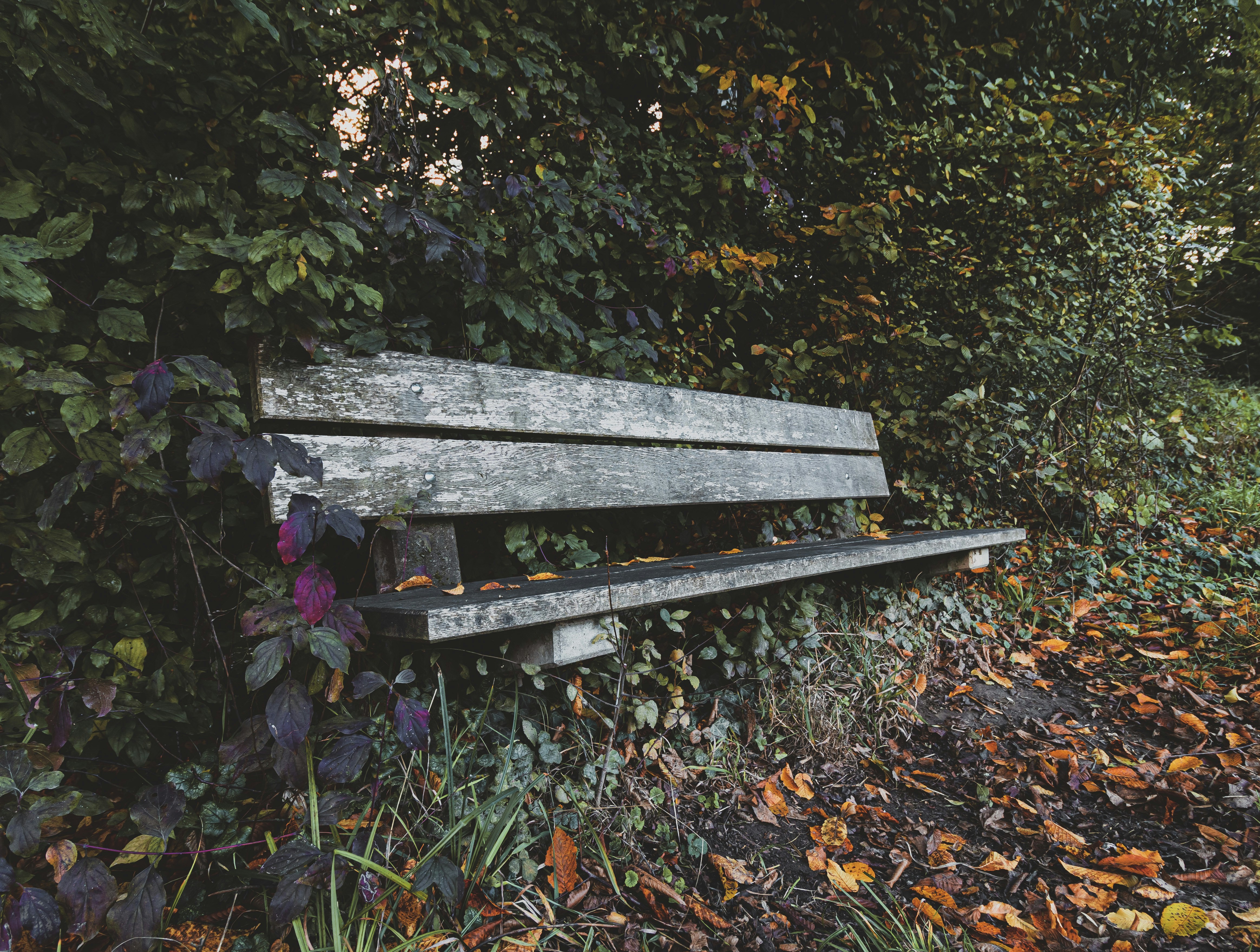 Photo by marco_pregnolato