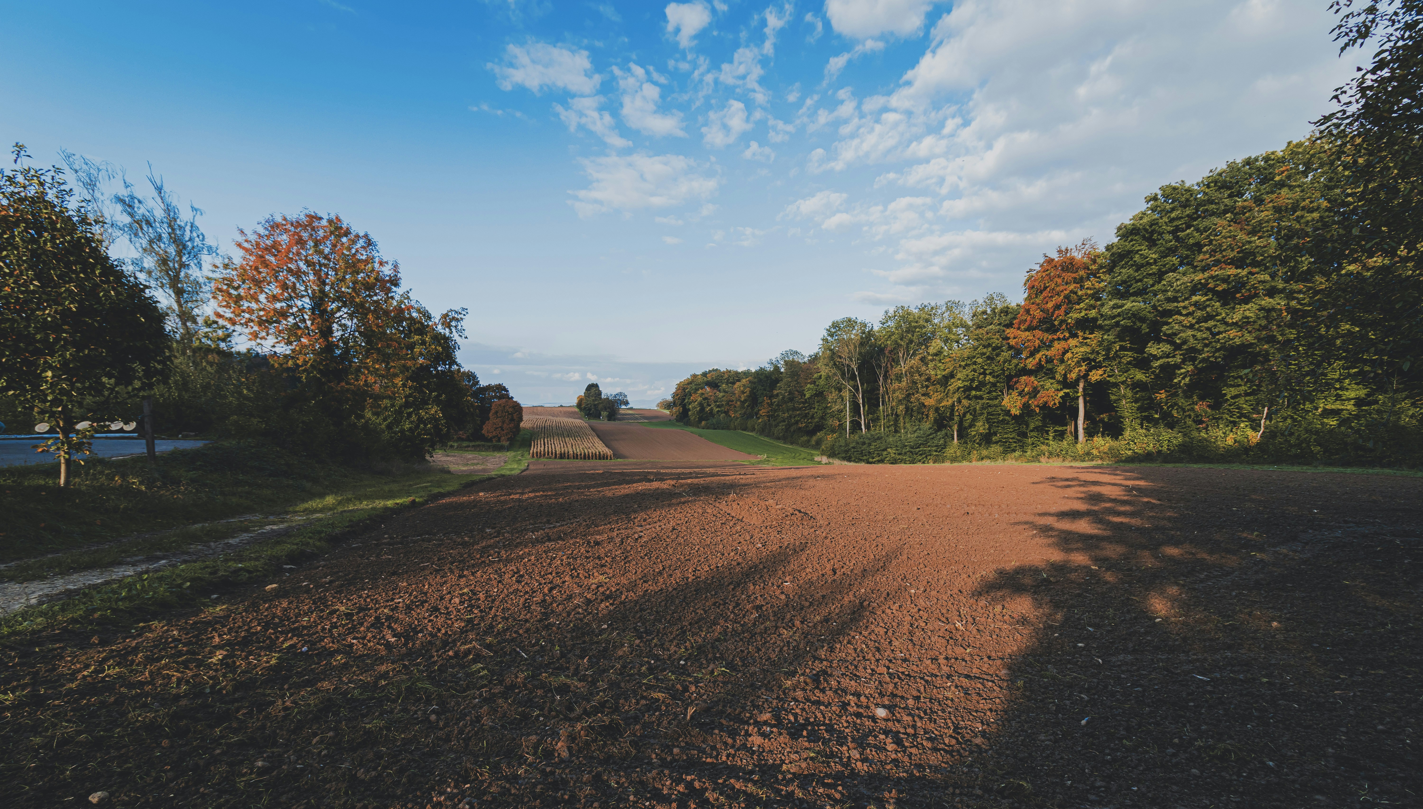 Photo by marco_pregnolato