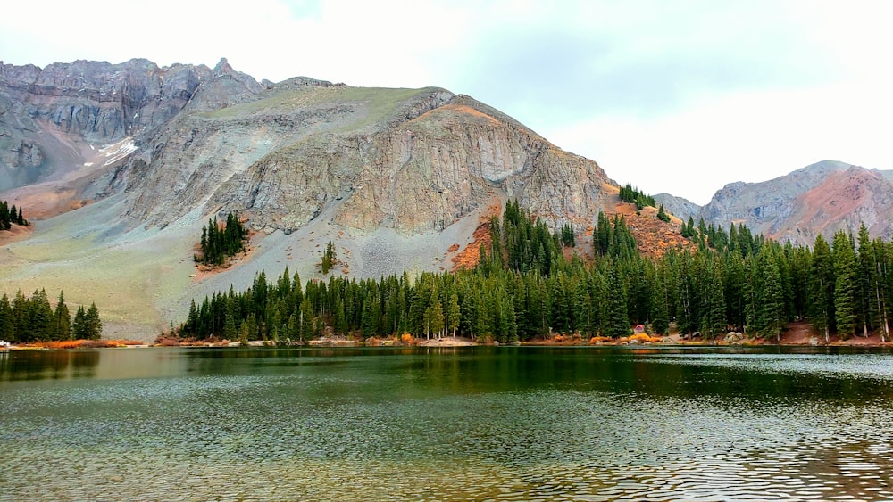 green trees near body of water and mountain during daytime