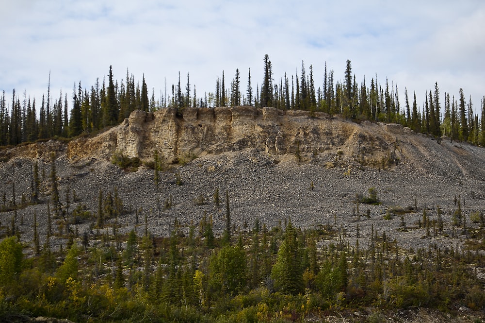 green pine trees on brown mountain under white clouds during daytime