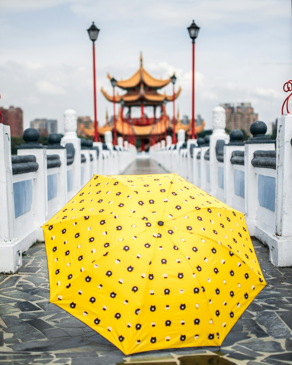 yellow and white polka dot umbrella on white wooden fence