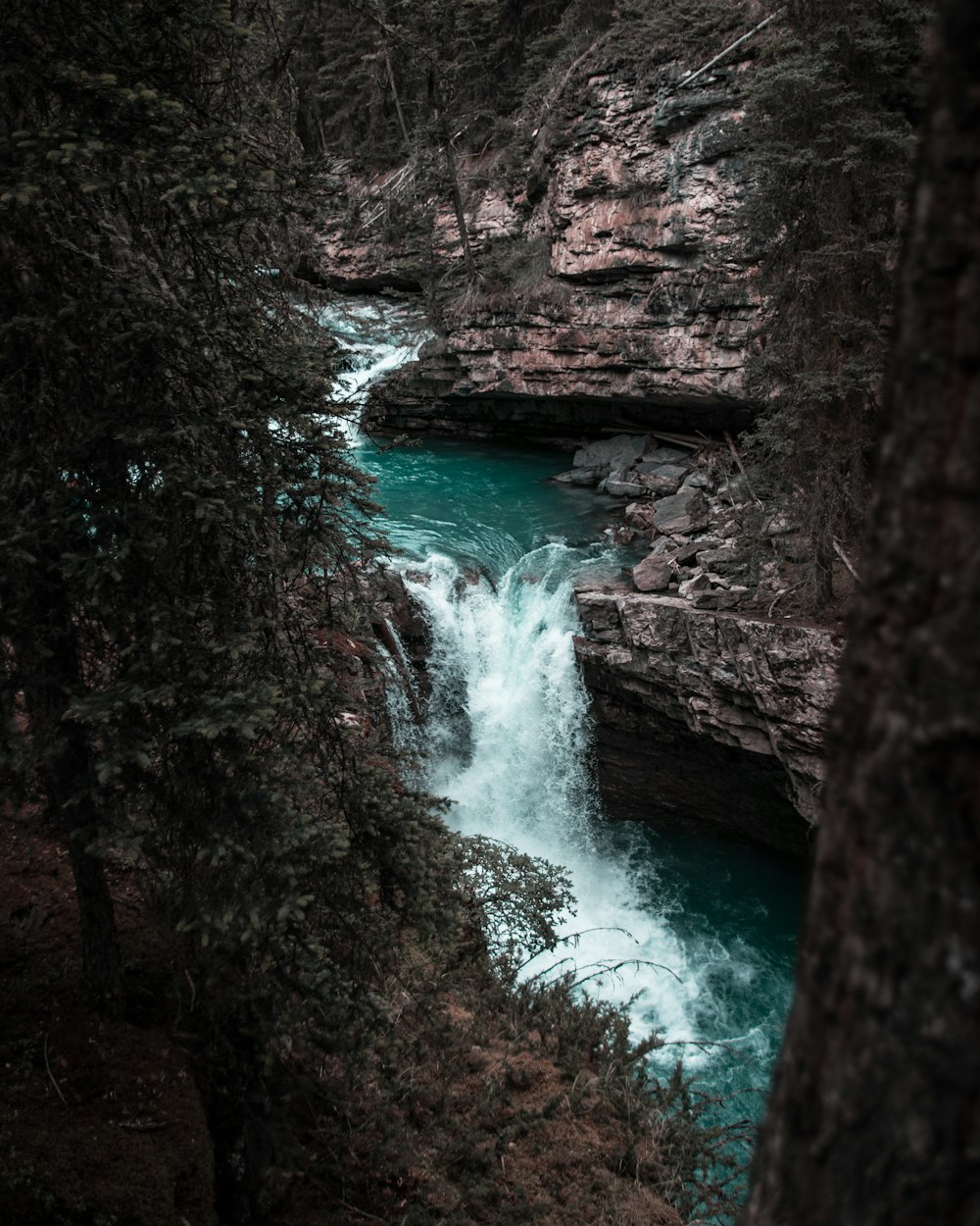 water falls in the middle of the forest