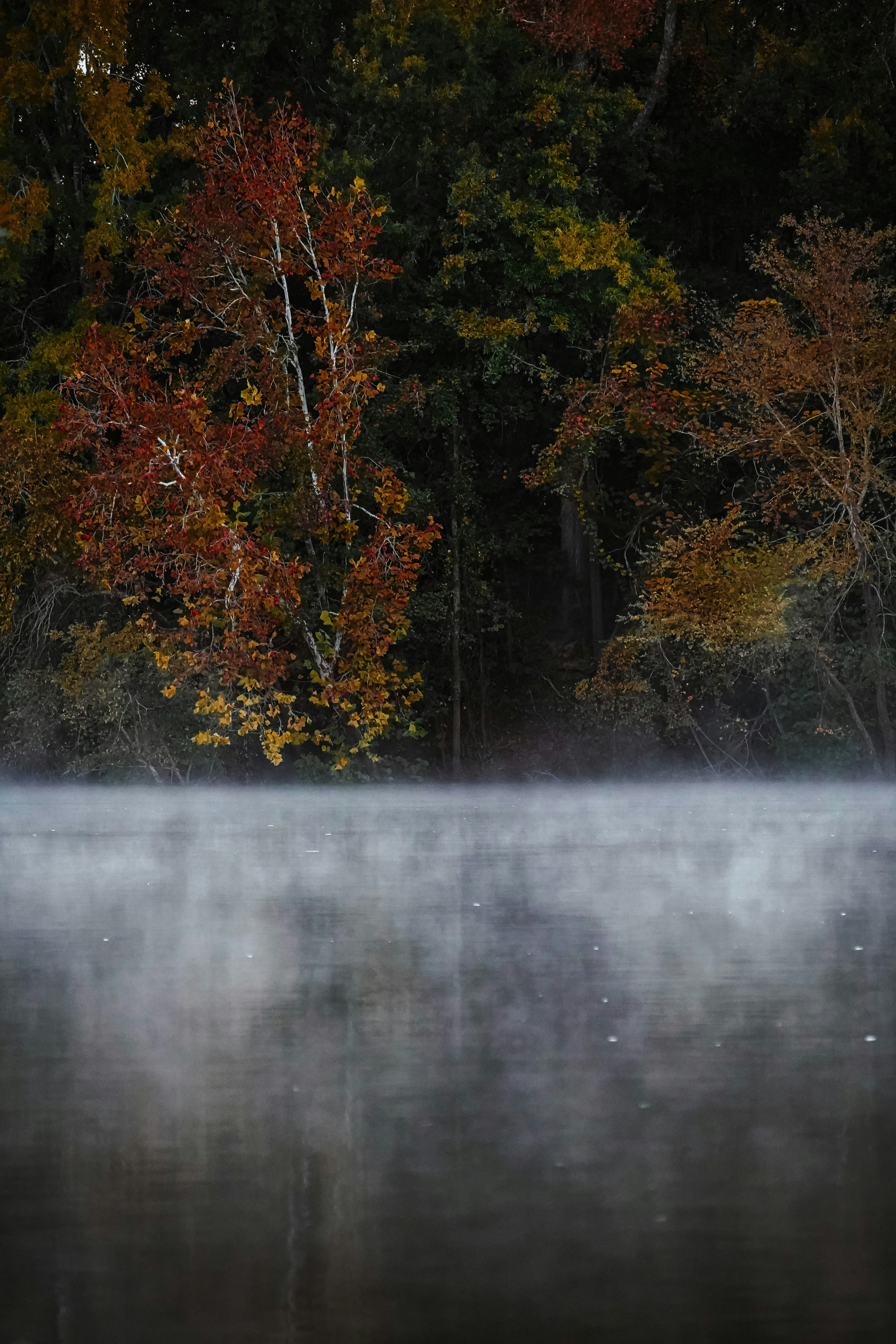 Photo by biggersmiles