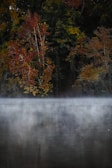 A serene landscape showing a misty lake surrounded by autumn trees.