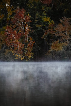 A serene landscape showing a misty lake surrounded by autumn trees.