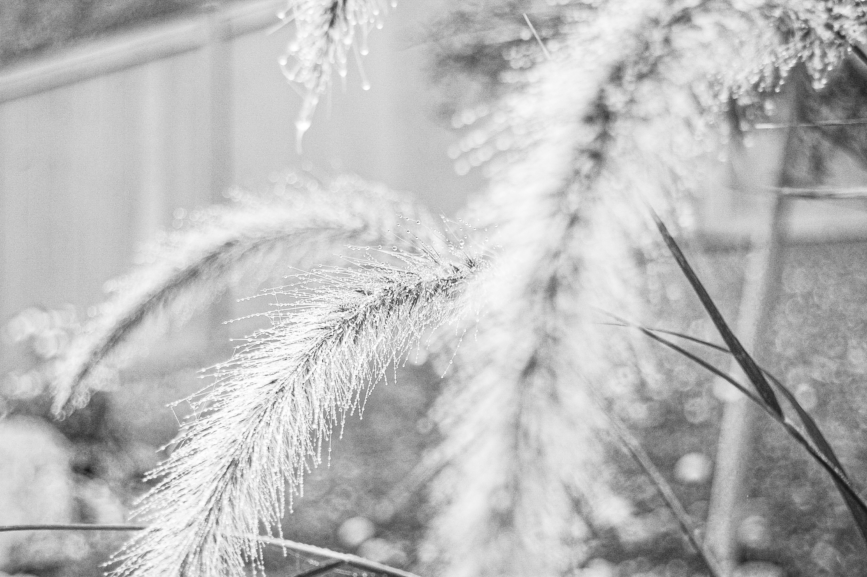 Photo by keeneariana