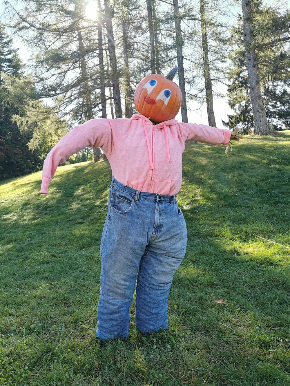 man in pink dress shirt and blue denim jeans standing on green grass field during daytime