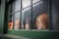 Several mannequin heads with colorful wigs are displayed in the window of a green-framed storefront. The wigs vary in vibrant colors, including orange, red, and purple, and the mannequins are positioned in a row, each facing a different direction.