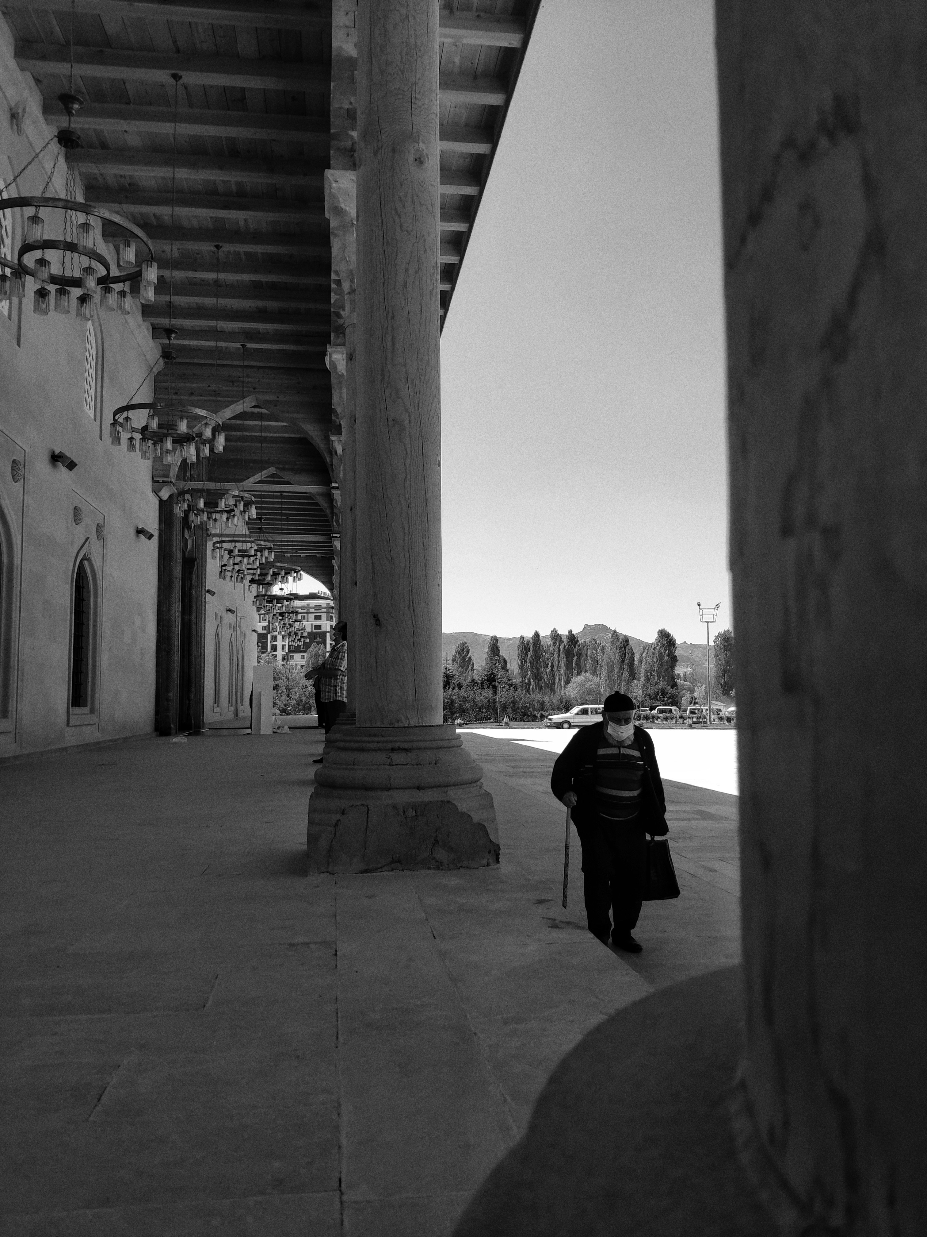 Photo by microzzcope