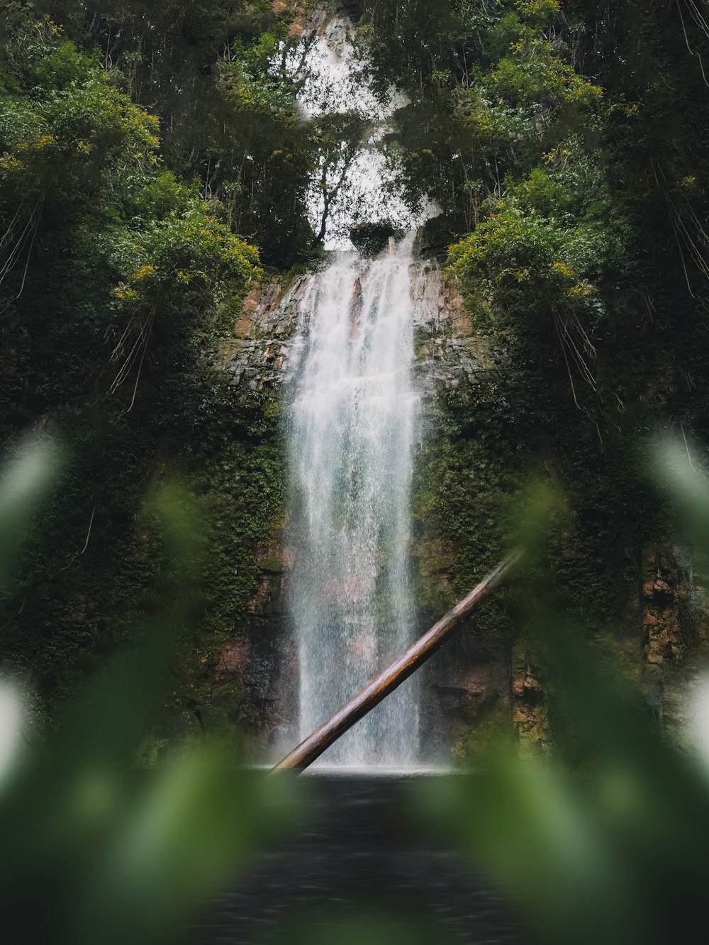 water falls in the middle of green trees