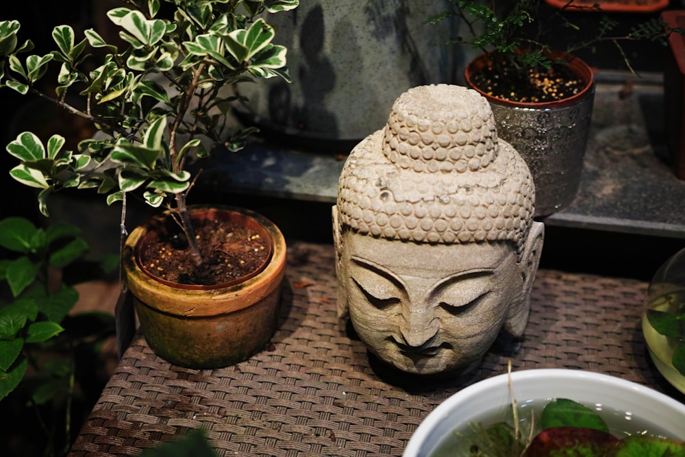 white ceramic vase on brown wooden table