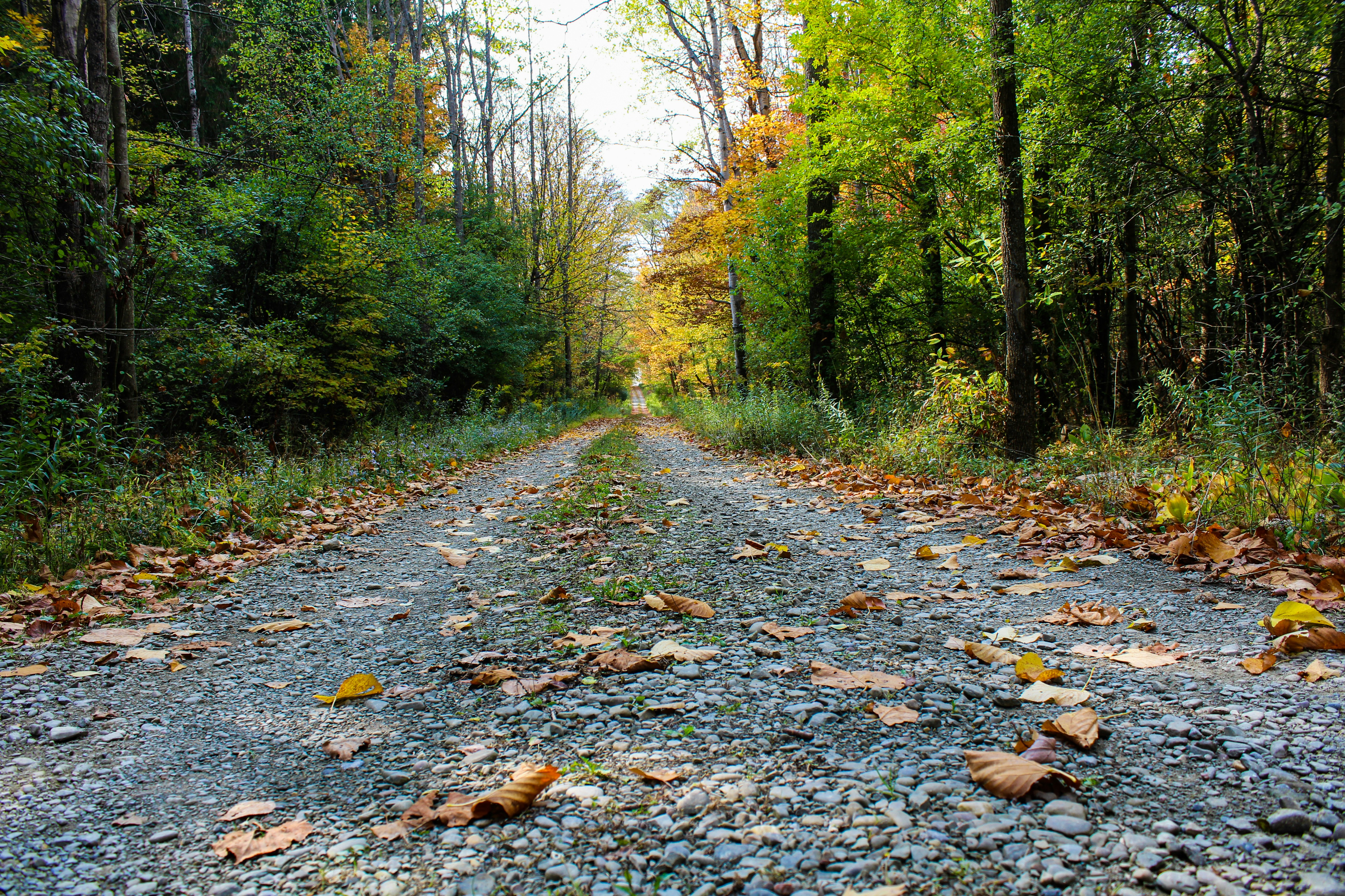 Photo by perelandrian