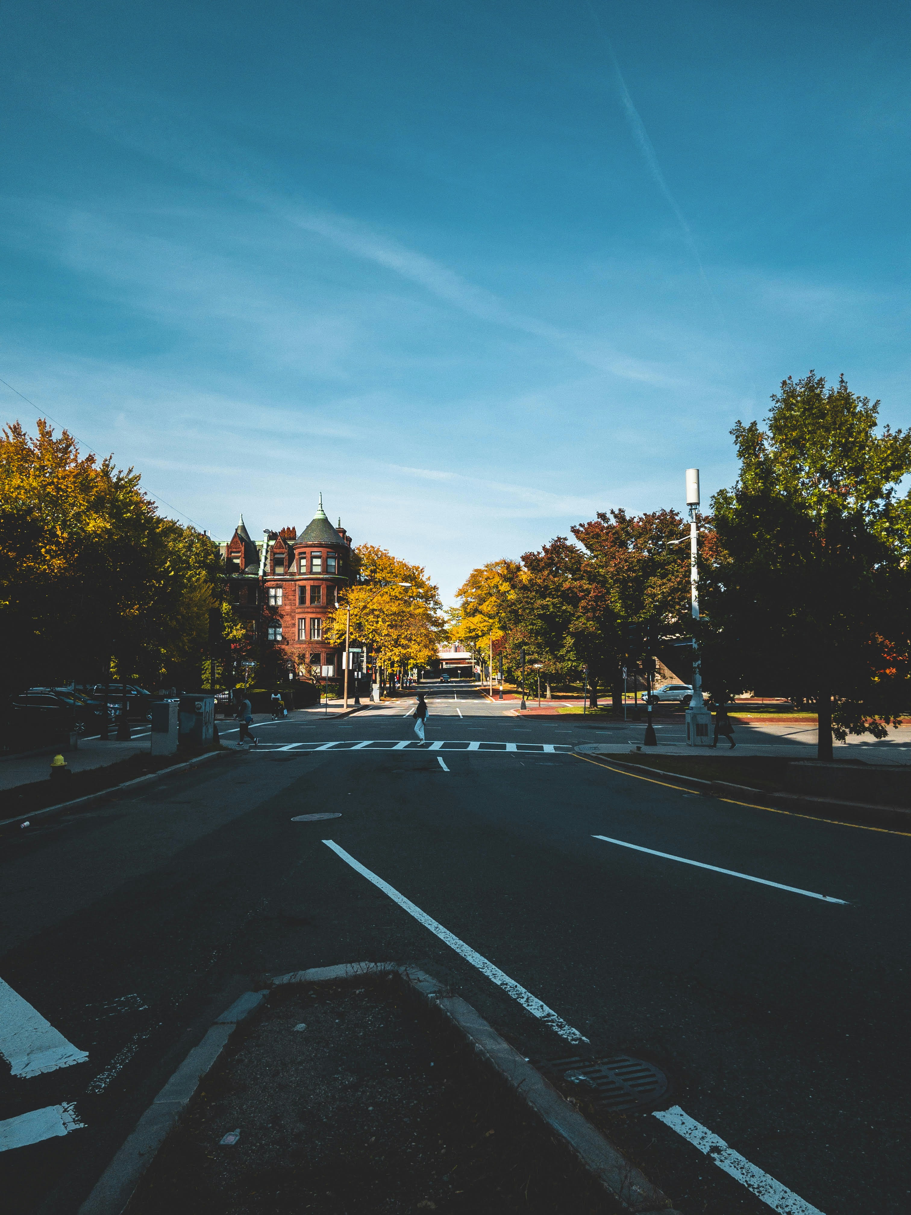 Photo by saurabh26johri