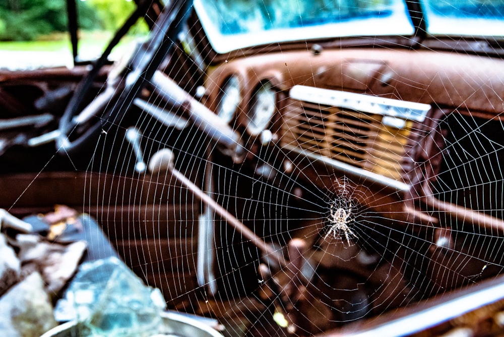 teia de aranha no carro marrom