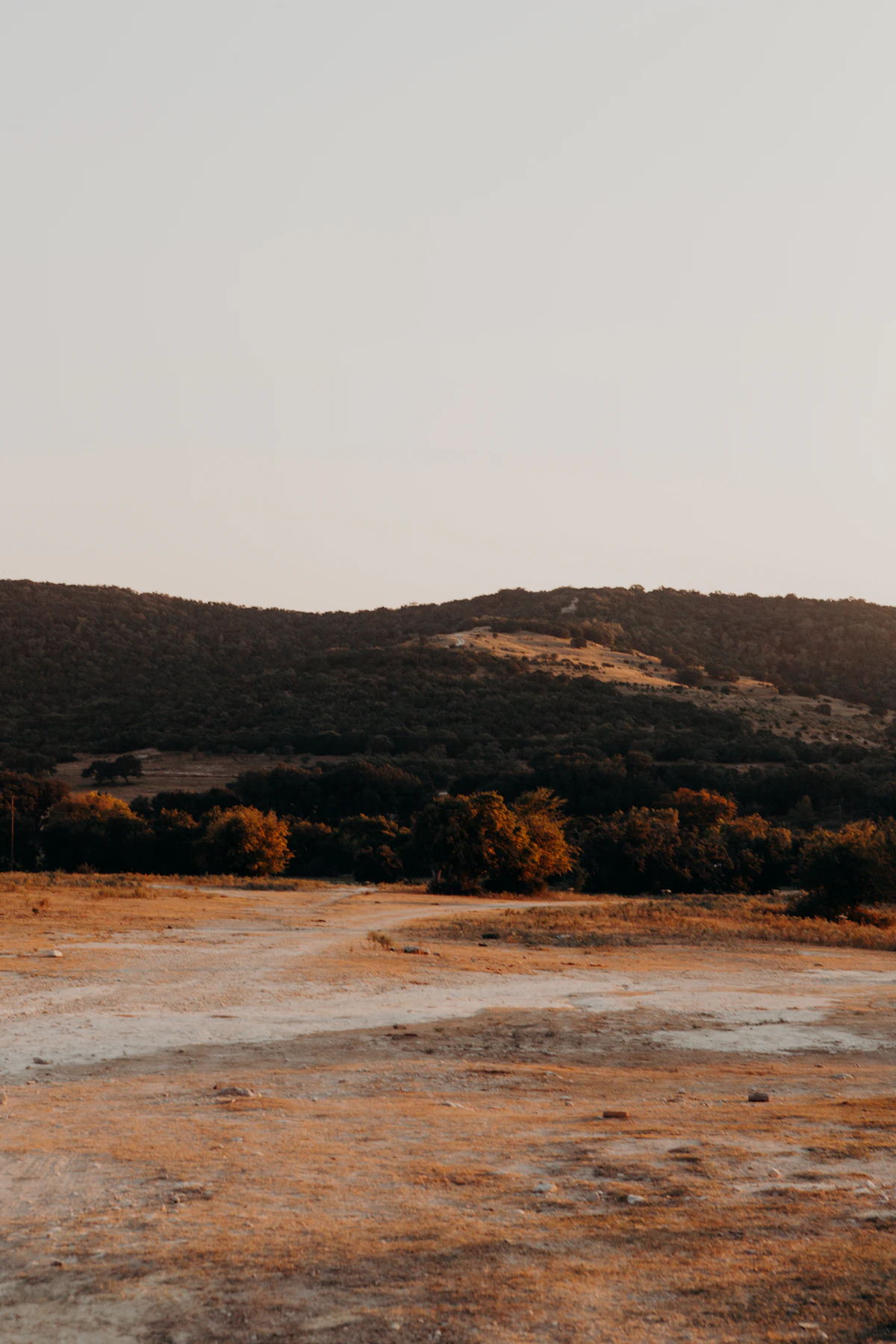 A wooded Hill Country ridge near Bandera in low golden light, with a pale clearing in the foreground