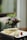 Delicate crepes are neatly arranged on a white plate, garnished with a small, vibrant parfait and colorful flowers. A blurred background shows soft light filtering through a window, with subtle hints of green and purple from out-of-focus plants or flowers.
