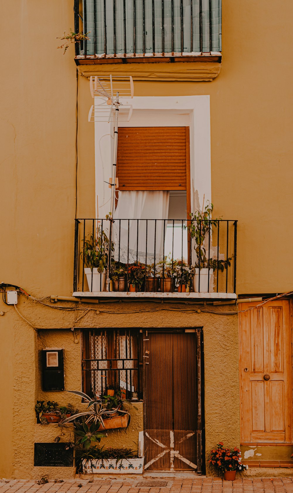 brown wooden window frame with green plants