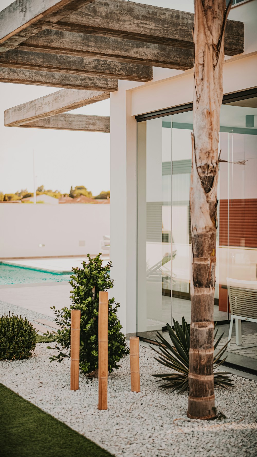 green tree near swimming pool during daytime