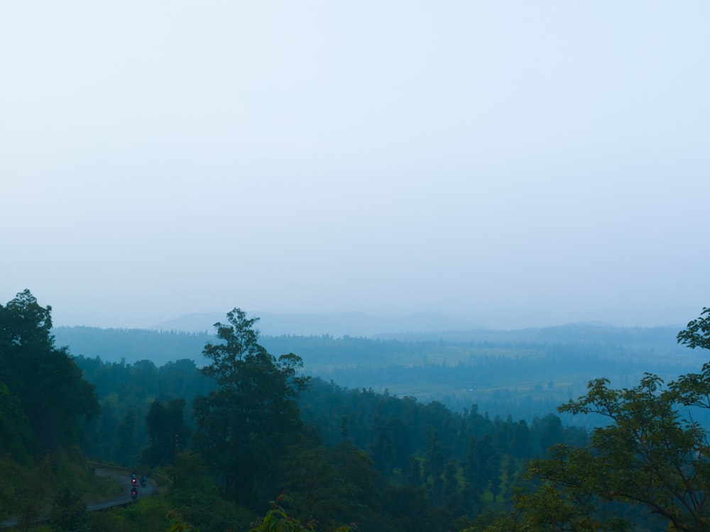 green trees on mountain under white sky during daytime