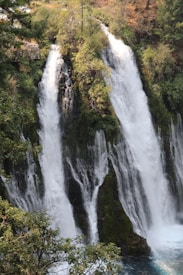 A magnificent waterfall cascades down a moss-covered cliff surrounded by lush greenery and dense foliage. The water flows forcefully, creating mist and whitewater at the base. Tall trees and rich vegetation envelop the scene, enhancing the natural beauty of the landscape.