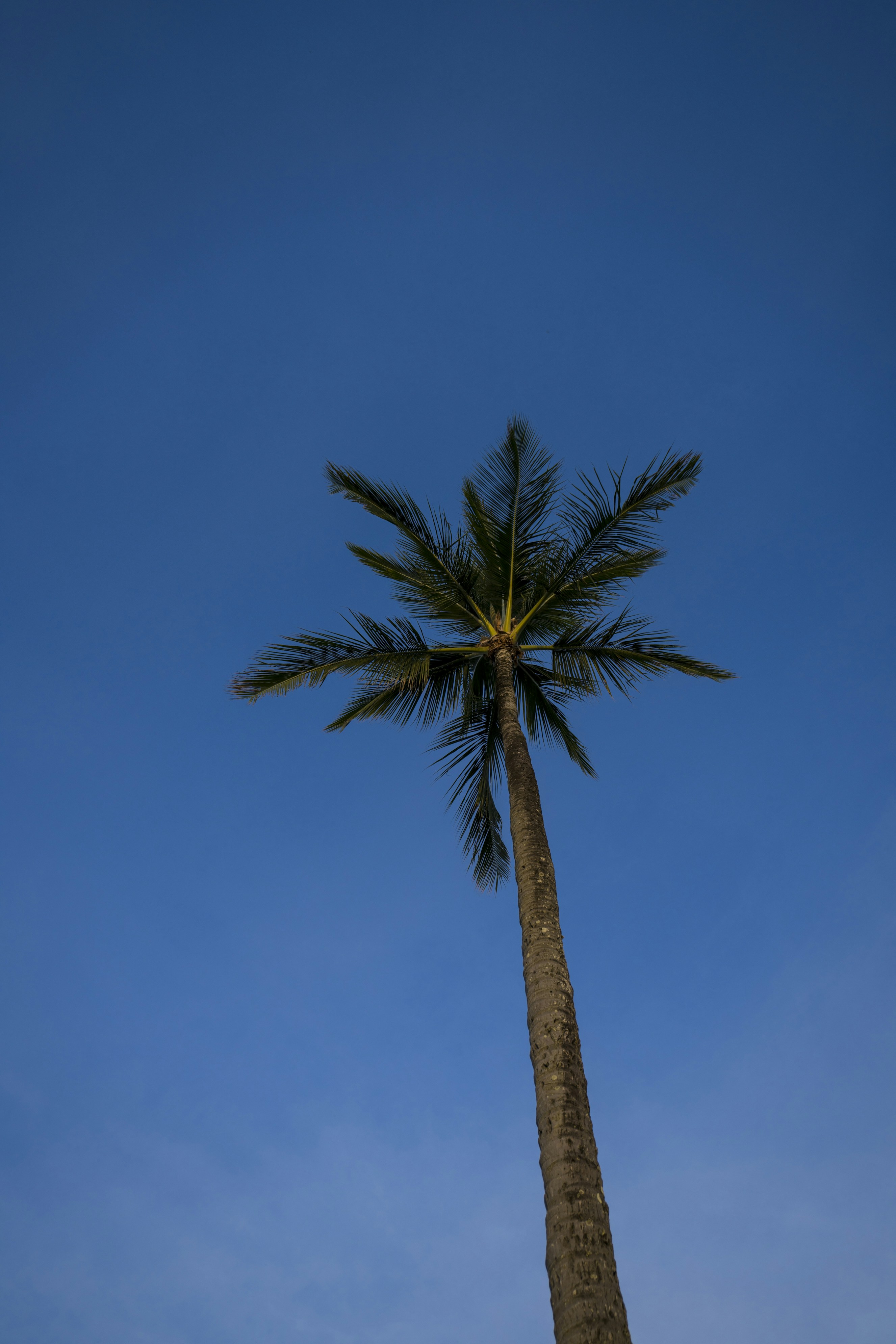 Photo by jess_adventures808