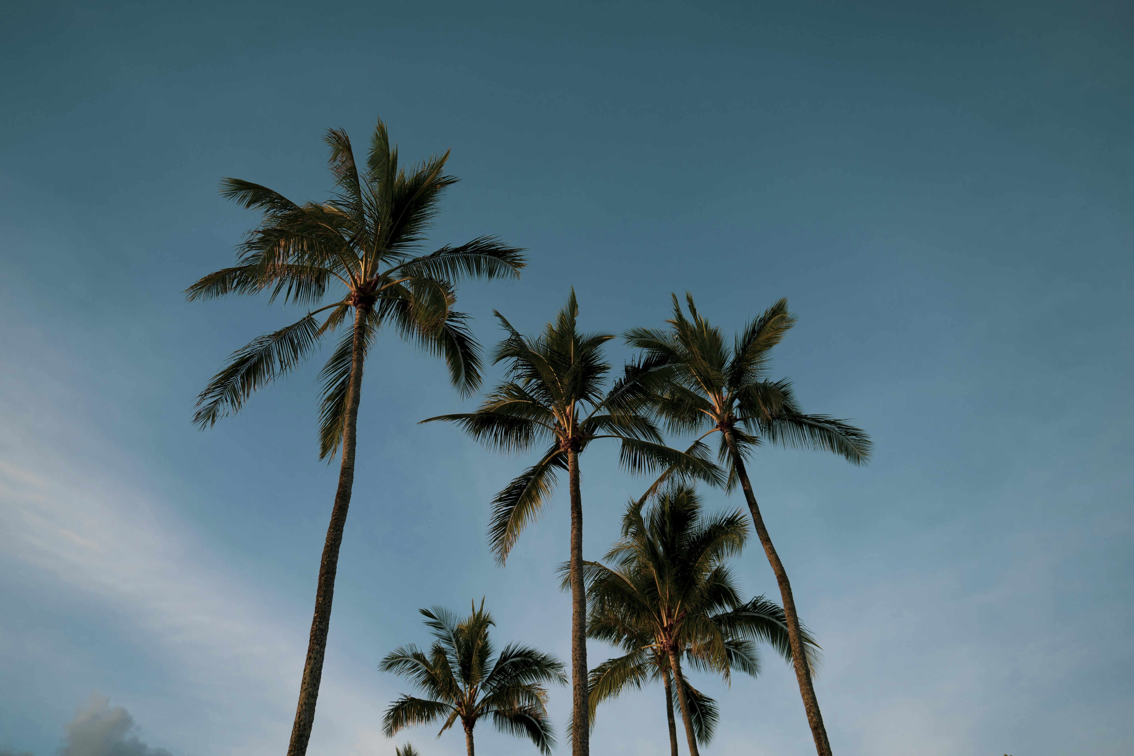 Photo by jess_adventures808