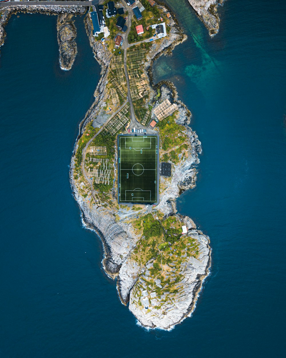 aerial view of green trees and body of water during daytime