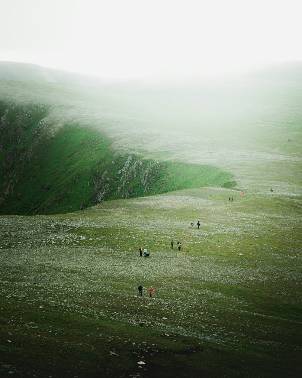 people on green grass field near body of water during daytime