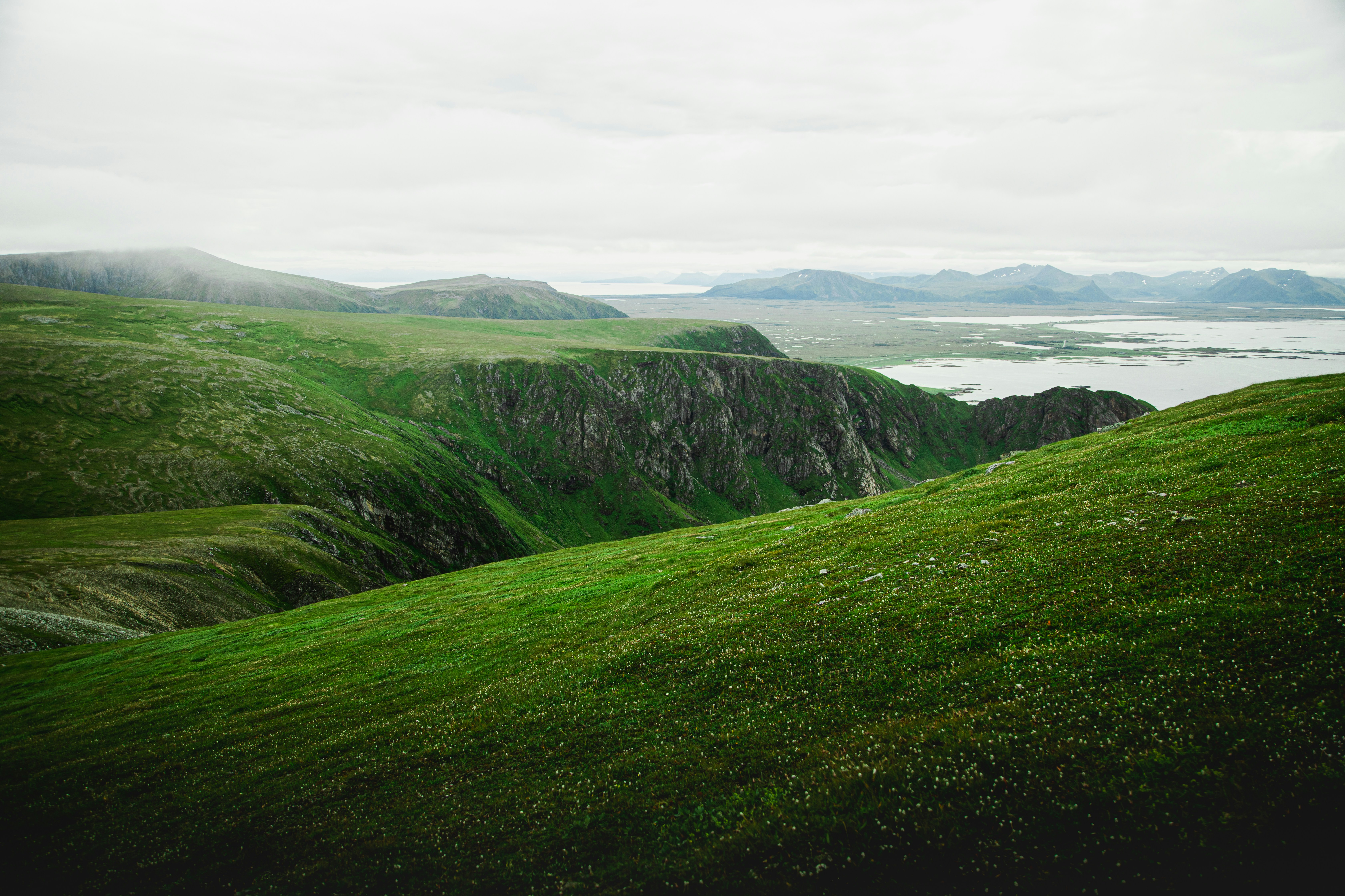green grass field under white sky during daytime