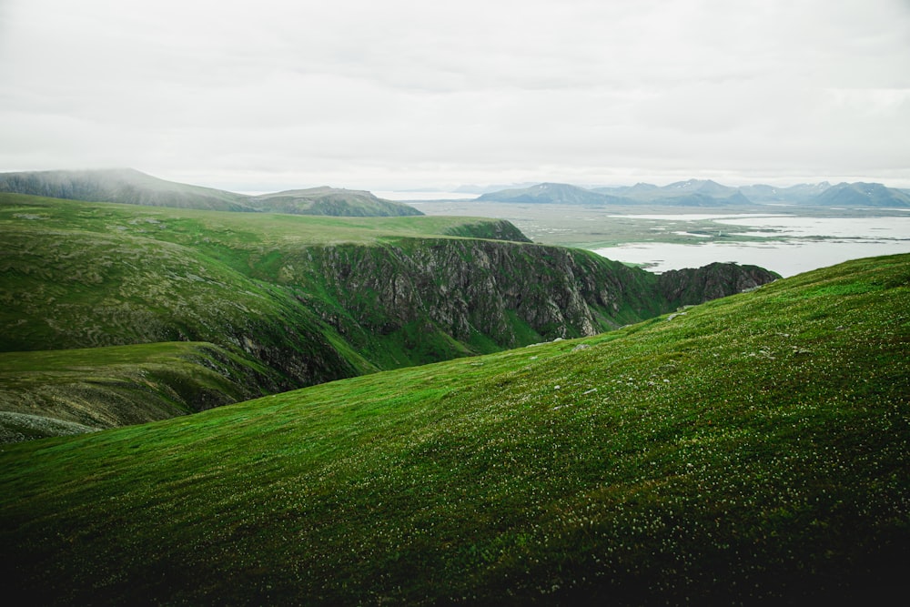 green grass field under white sky during daytime