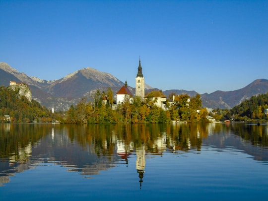 Island church things to do in Bled