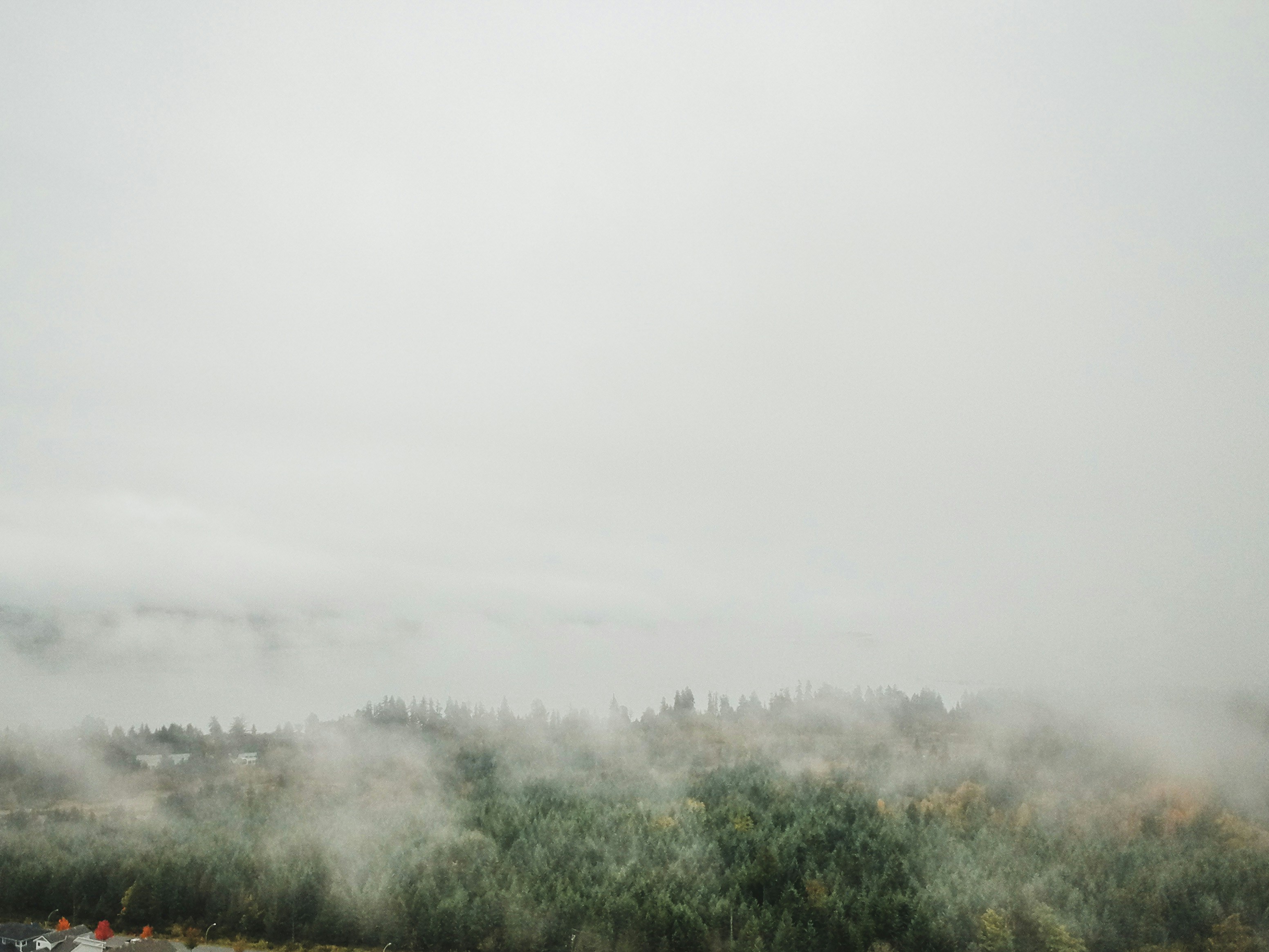 Photo by colefreeman