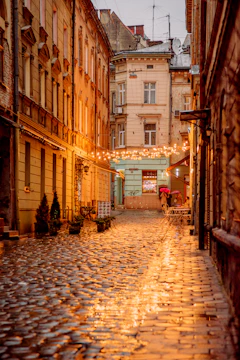 brown brick pathway between brown concrete building during daytime