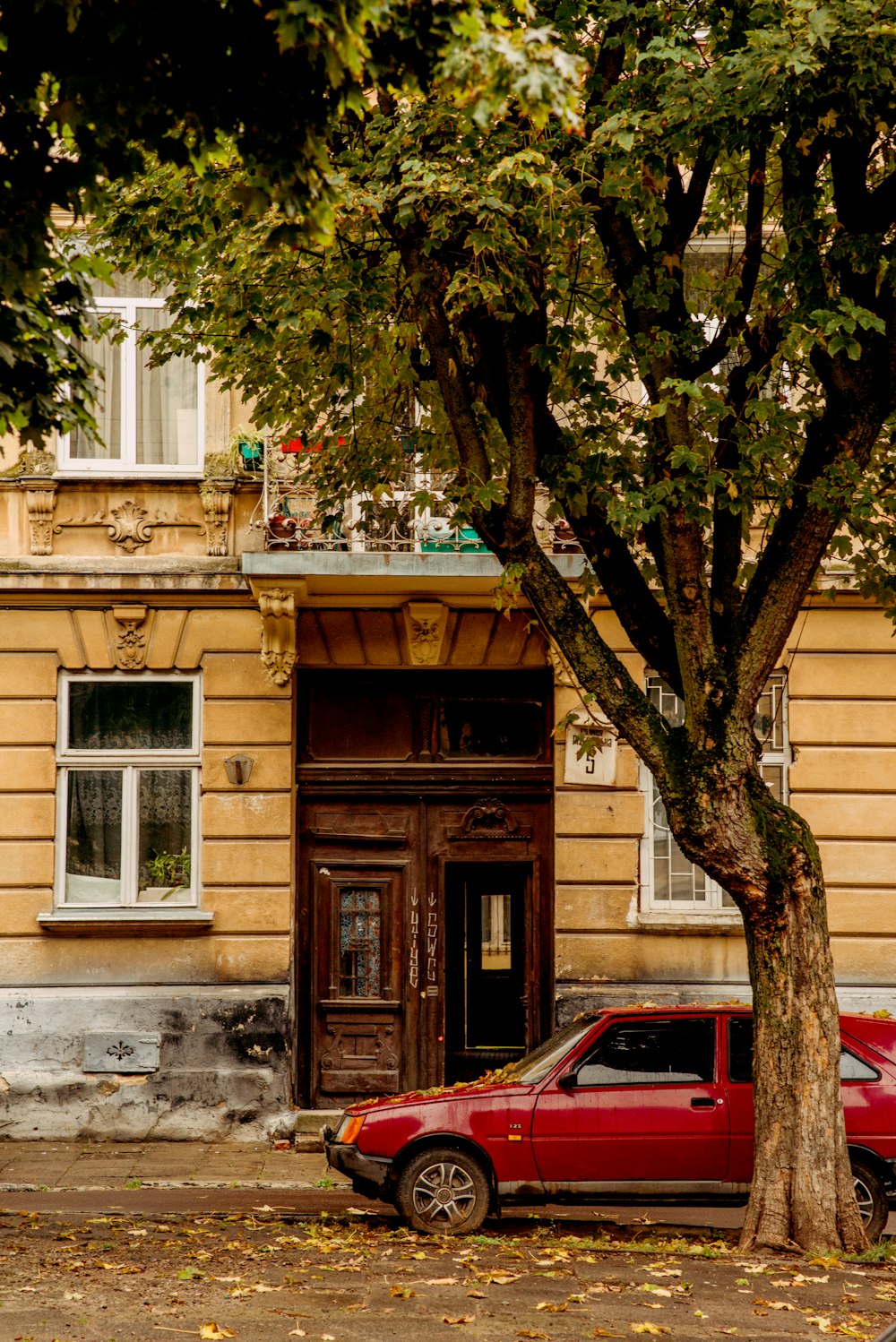 red car parked beside brown tree