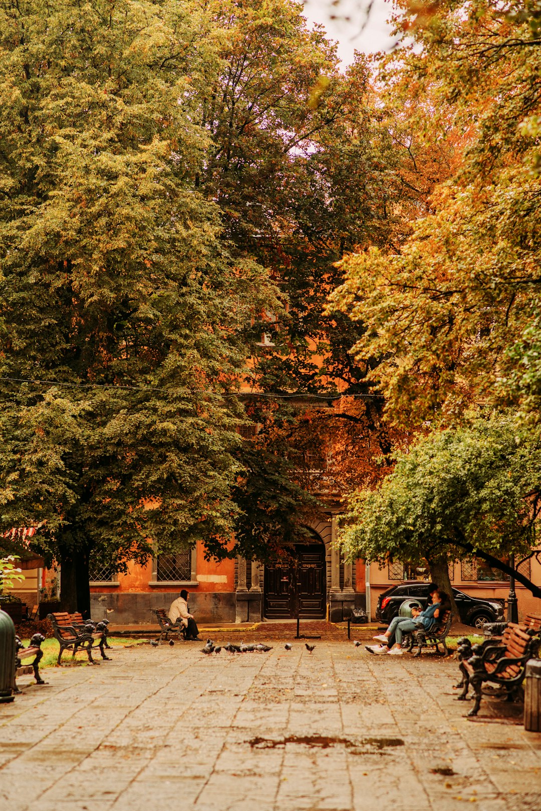 people sitting on bench near trees during daytime