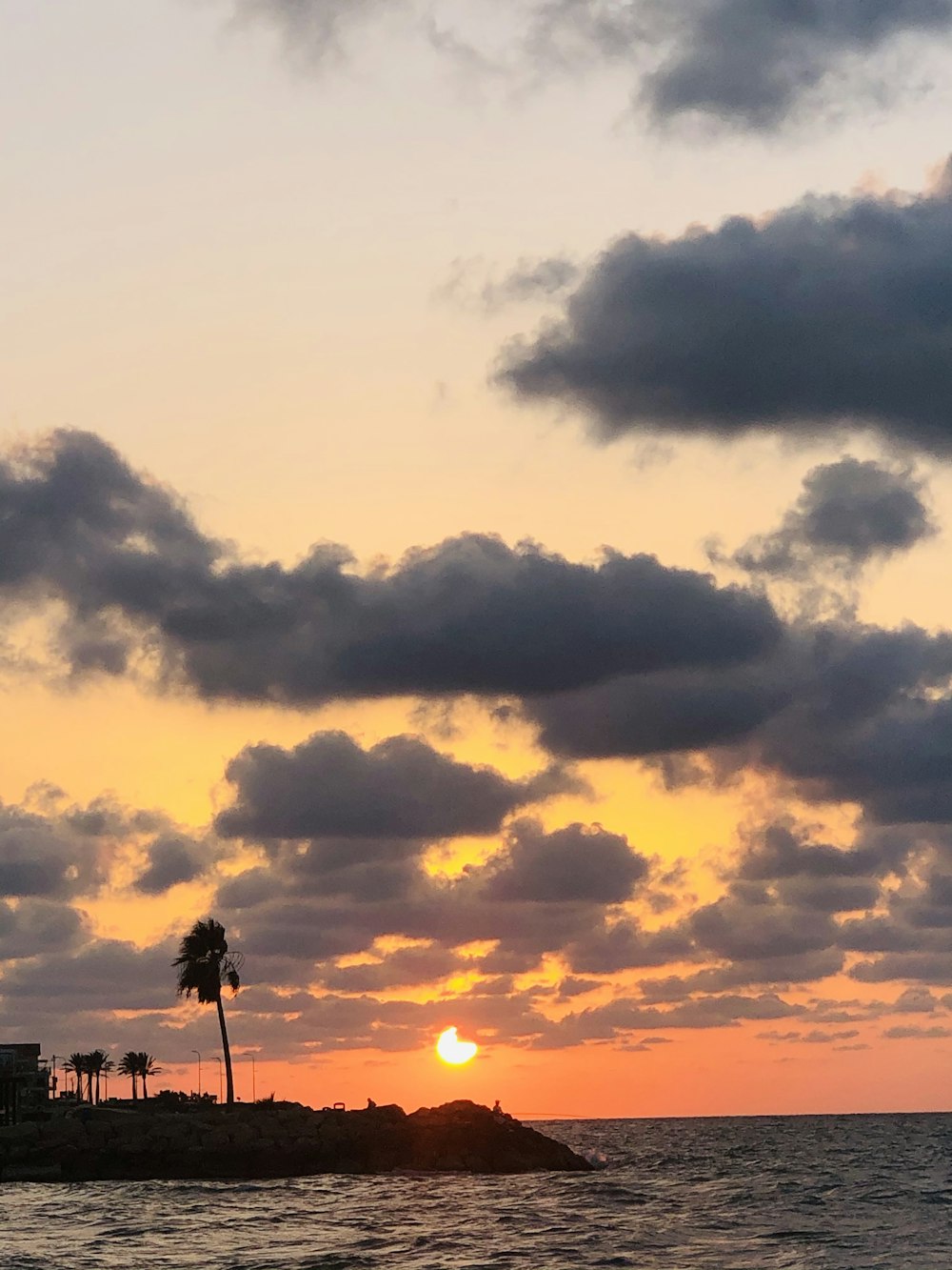 silhouette of trees during sunset