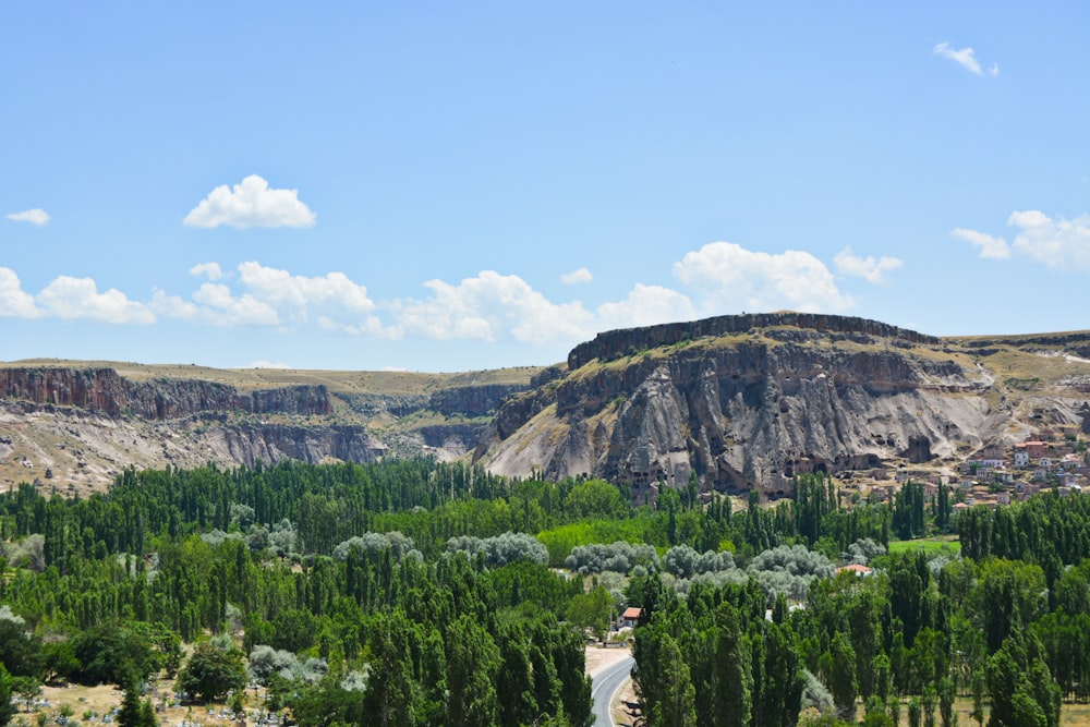 green trees near mountain under blue sky during daytime