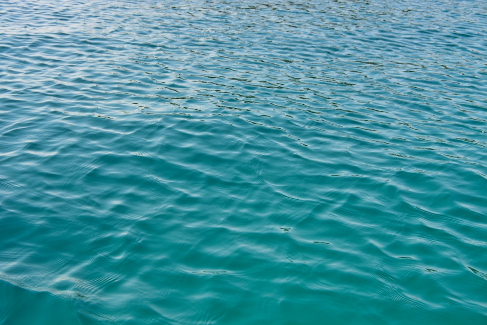 plan d’eau pendant la journée